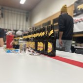 25dart08